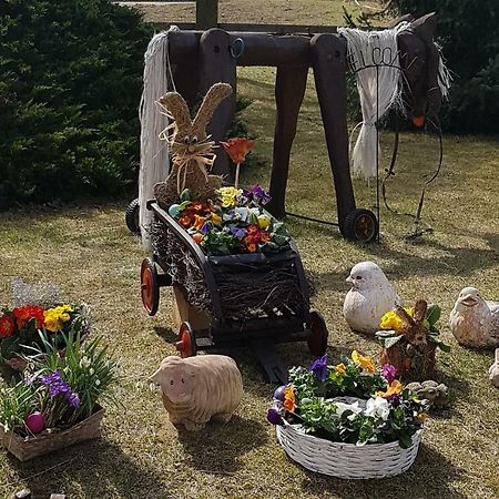 Urlaubsscheune Niedergorsdorf Bagian luar foto